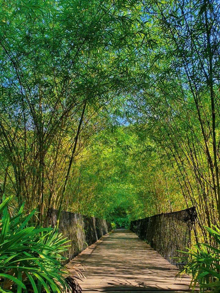 làng nhỏ hồ láng nhớt